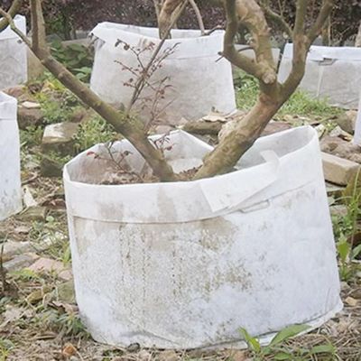 Personalize quente vendendo o saco que biodegradável da planta da tela não tecida a árvore respirável do flet cresce saco do berçário do saco o grande com punho