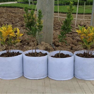 Personalize quente vendendo o saco que biodegradável da planta da tela não tecida a árvore respirável do flet cresce saco do berçário do saco o grande com punho